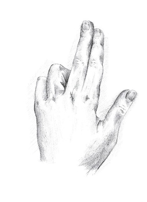 First Hand Observation Drawing Observational Drawings :: KattSram